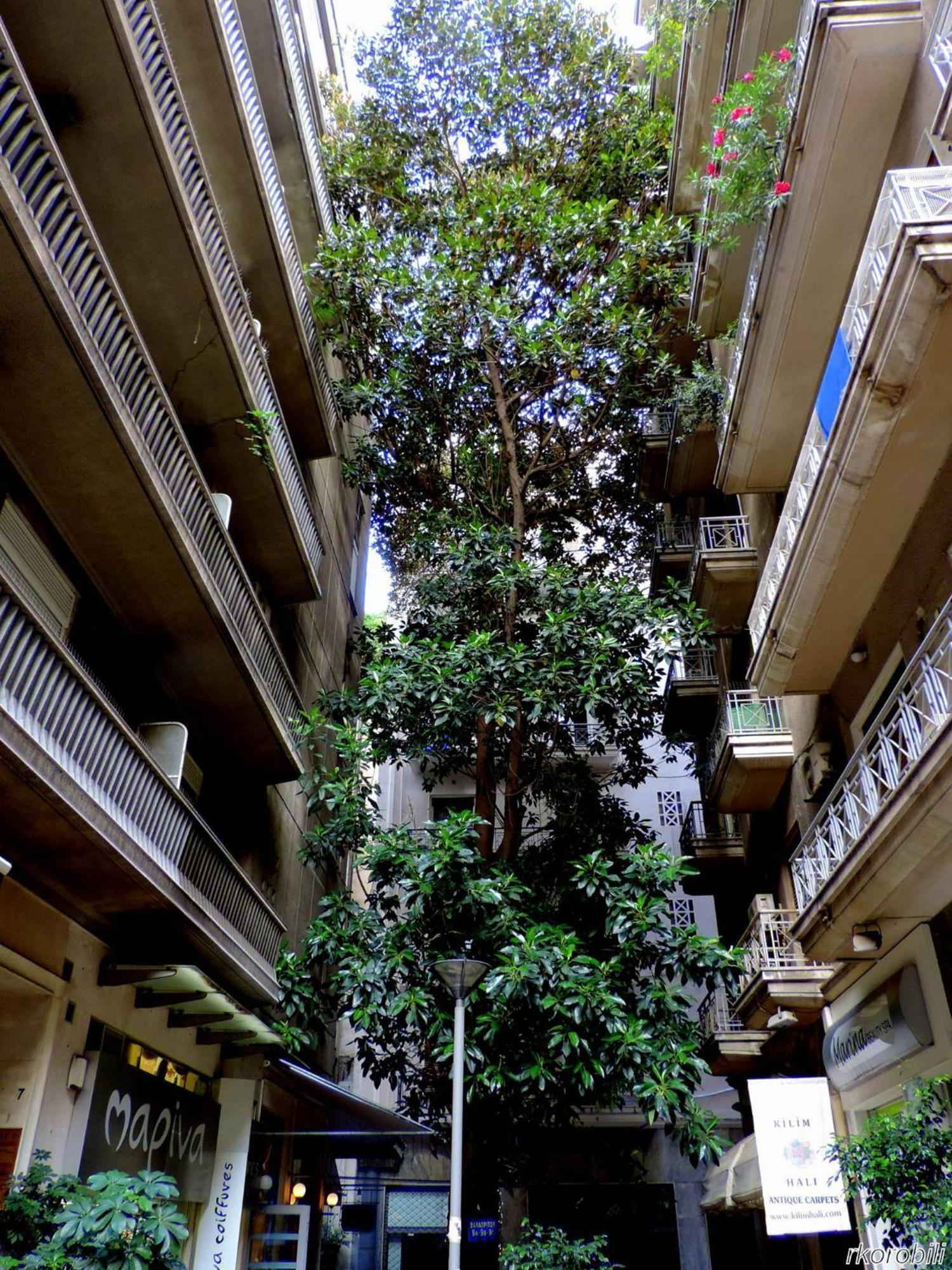 Stay At Premium Syntagma Location - Experience 1 Atény Exteriér fotografie